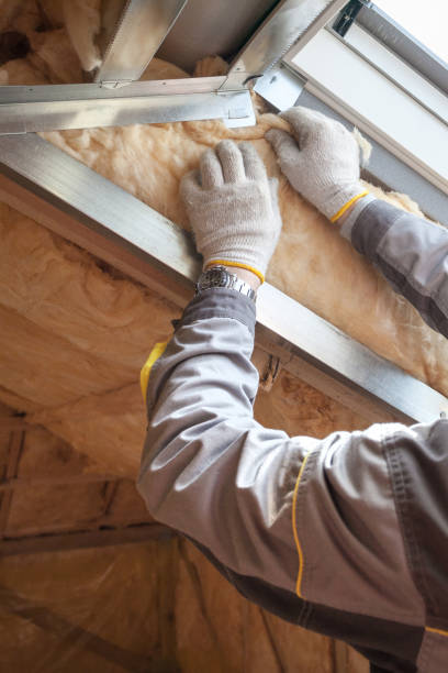 Types of Insulation We Offer in Rio Vista, TX